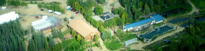 aerial moose lodge rock lake